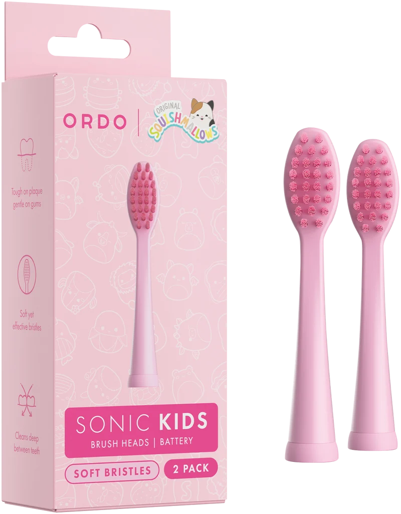 Ordo 2 Pack Squishmallow Auggie Brush Heads