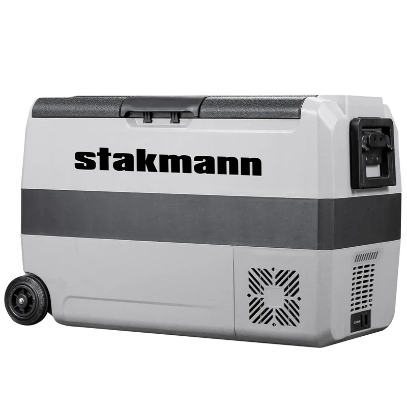 Frigo Congelatore 50 L Compressore Portatile con Ruote AC/DC 12V/24V Frigorifero 220V Bianco e Grigio